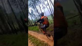 👆👆👆🚴‍♂️mtb cimtb caminhodafé pedal ciclismobrasil ciclismodemontanha graudebike grau [upl. by Sawtelle]