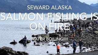 quotSeward Alaska Salmon Boiling Unbelievable Action limit in Minutes Combat Fishing to a new level [upl. by Toddie]