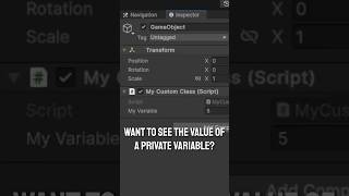 Three methods for showing private variables in Unity3D unity gamedev [upl. by Lunt517]