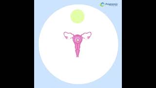 IVF Process Stepbystep animation [upl. by Reta951]