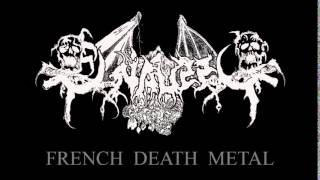 OSSUAIRE Fra Le Troubadour Necrophageophile Death metal old school France [upl. by Mlehliw258]