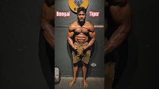 Ifbbpro Anik Ghosh 🔥🔥 bengal tiger anikghosh ifbbpro gym [upl. by Appilihp]