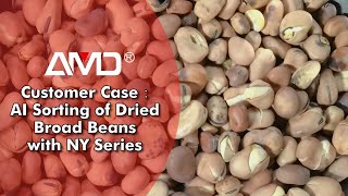 DriedBroadBeans AI Sorting with AMD® NYKPE [upl. by Niels]