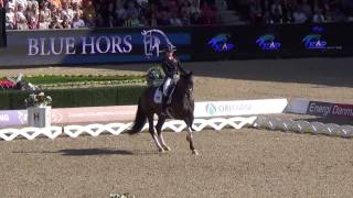 Charlotte Dujardin amp Valaegro  FEI European Championship Herning 2013 [upl. by Launam430]