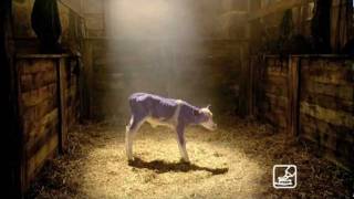 reclame milka 2011 [upl. by Arand260]