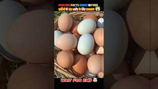 Top 10 Amazing facts about food 🥚🍎 food fact in Hindi facts shorts shortsfeed food yoga fruit [upl. by Ahselaf]