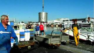 Un chalutier qui décharge sa marchandise criée de Saint Guénolé [upl. by Tivad]