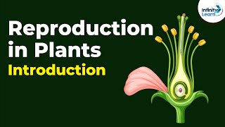 Introduction to Reproduction in Plants  Dont Memorise [upl. by Anaert]