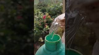 expired medicine plants ke liye bahut helpfull hay youtubeshorts medicinespraygardenplants [upl. by Nifled563]