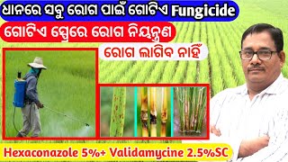 ଧାନରେ ସବୁ ରୋଗ ପାଇଁ ଗୋଟିଏ Fungicide Best fungicide for paddy [upl. by Sacken]