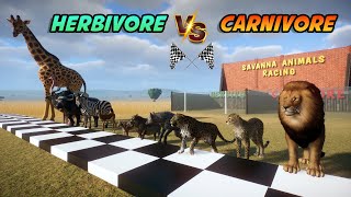 Carnivore VS Herbivore Savanna Animals Race in Flat Track included Lion Giraffe Ostrich amp Zebra [upl. by Akeinahs]