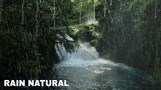 Relaxing Rain Noise And Forest Stream  Water Sound For Sleeping [upl. by Atnwahs392]