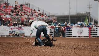 Tie Down Roping Highlights  Salinas Rodeo [upl. by Harlow617]