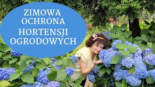 Jak zabezpieczyć hortensje ogrodowe na zimę Kiedy okrywać i jak przycinać hortensję ogrodową [upl. by Wilson]