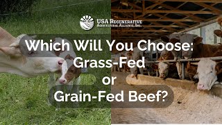 Which Will You Choose GrassFed or GrainFed Beef [upl. by Neomah716]