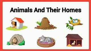 Animals and their home for kidsanimals sheltersanimals homeukgkindergartenclass 1 [upl. by Atteynad782]