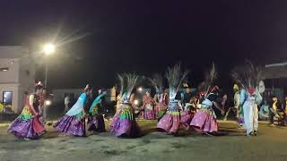 Tharu Nach  Tharu Cultural Dance  Mayur Nach  Bardiya National Park  Babai Resort [upl. by Bugbee763]