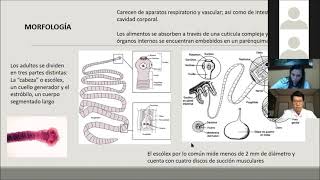 Cestodos Generalidades y Clasificación [upl. by Alleciram665]