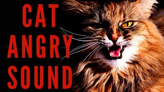 CAT ANGRY SOUND  Realistic Cat Sound  Maktubytv [upl. by Woodberry]