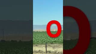 Dust devil spotte in kettleman city [upl. by Korella]