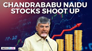 Stocks Owned By Chandrababu Soar As TDP Sweeps Andhra Pradesh Elections [upl. by Betz98]