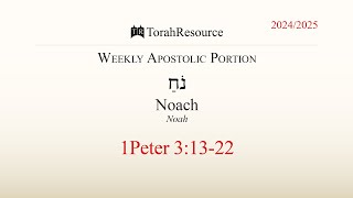 The Weekly Apostolic Portion  Noach  Noah [upl. by Bertle]