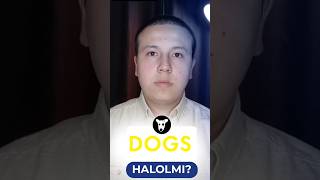 DOGS HALOLMI  Sharlife ulamolari qanday fatvo berdi trading bitcoin crypto [upl. by Hafital]