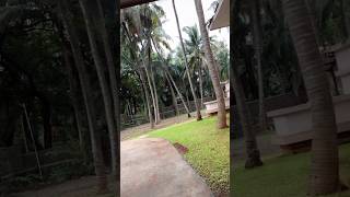 kihim Beach Resorts Alibaug RaajeshVermaOfficial [upl. by Asyl414]