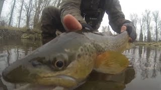 Fly Fishing on the Bitterroot River  Streamer fishing for brown trout and rainbows in Montana [upl. by Glenn]