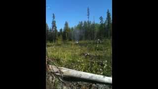 20lb Propane tank explosion with shotgun [upl. by Aicre]