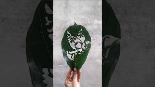 Bird leaf artleafcarving leafcreative [upl. by Ursala]