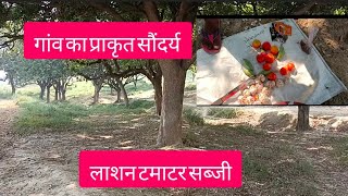 my village vlog।। वृद्धा दिव्यांग विधवा पेंशन धारक सभी लोग गांव मेरा देख लीजिए।। [upl. by Aket]