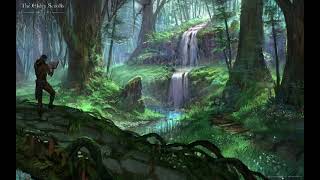 Deepwood A fanmade Elder scrolls Valenwood Theme [upl. by Kissee]