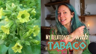 Plant Connections The Medicine of TabacoMapacho Nicotiana Rustica [upl. by Wagoner566]