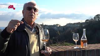 Grape INSIDERS origins of Morellino di Scansano with Erik Banti [upl. by Nireves]