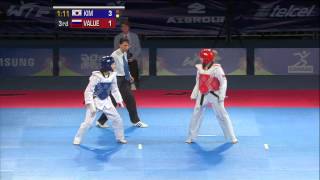 2013 WTF World Taekwondo Championships Final  Female 46kg [upl. by Aramen]