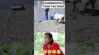 BERDOSAKAH KOU BING‼️😁😁 pokus sama kambing nya [upl. by Adnarb205]