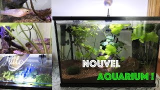 TUTO KILLIES NANO AQUARIUM [upl. by Grantley412]