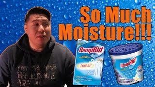 How To Get Rid of Moisture  Damprid Review [upl. by Pegeen900]