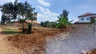 IKIBANZA GIHENDUTSE 880sqm KIGURISHWA MUMUDUGUDU WA REBERO KICUKIRO KIGARAMA MURI SITE 0786779769 [upl. by Jollanta807]