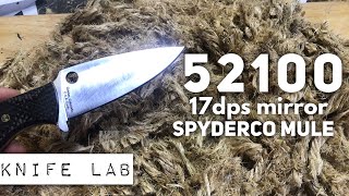 52100 Steel in the Knife Lab  Spyderco Mule Series [upl. by Eniamat]