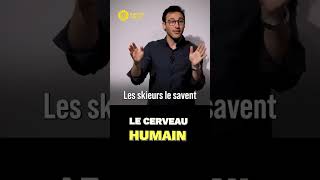 LE CERVEAU HUMAIN [upl. by Kerad]