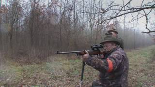 Chasse au sanglier en Hongrie  Wild boar hunt in Hungary wwwelmertvfr [upl. by Howell]