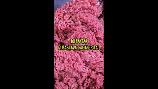 INI FAKTA DI BABI ADA CACING PITA [upl. by Bradley453]