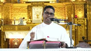 Mass in Konkani  7th October 2024  Our Lady of Immaculate Conception Church Panjim [upl. by Leblanc465]