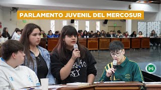 Jornada DISTRITAL DEL PARLAMENTO JUVENIL DEL MERCOSUR Merlo [upl. by Kamaria]