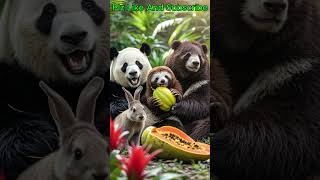 panda and sloth bear and rabbet eating papaya in gingal CuteAnimalsCompilation FunnyAnimalMoment [upl. by Jadd]