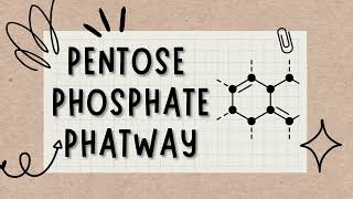 🥸Pentose Phosphate Pathway regulation Secrets Unlocked👍🏻Lecture4 UsmlePlab [upl. by Viquelia]