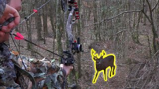 BIG 7 Point Bowhunting the Alabama Rut [upl. by Lacagnia]