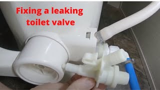 Fixing a leaking RV toilet valve [upl. by Irrehc]